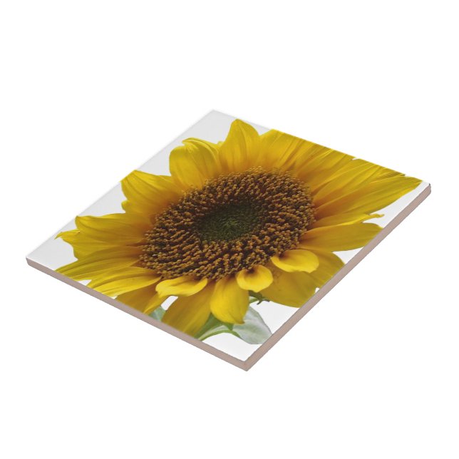 Ceramic Tile Sunflower (Side)
