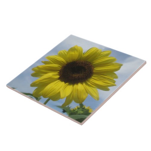 Ceramic Tile _ Sunflower Summer Sky