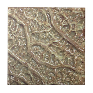 Ceramic Tile Textured Taupe