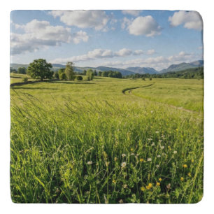 Ceramic Tile Trivet