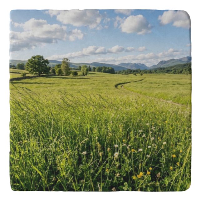 Ceramic Tile Trivet (Front)