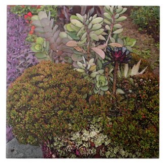 CERAMIC TILE/ TRIVET  