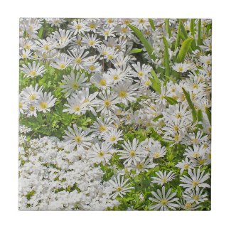 CERAMIC TILE/TRIVET WITH WHITE SHASTA DAISIES