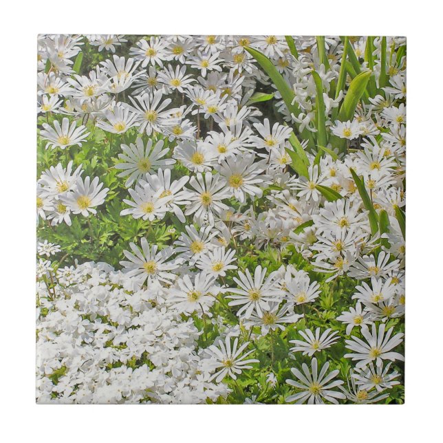 CERAMIC TILE/TRIVET WITH WHITE SHASTA DAISIES TILE (Front)