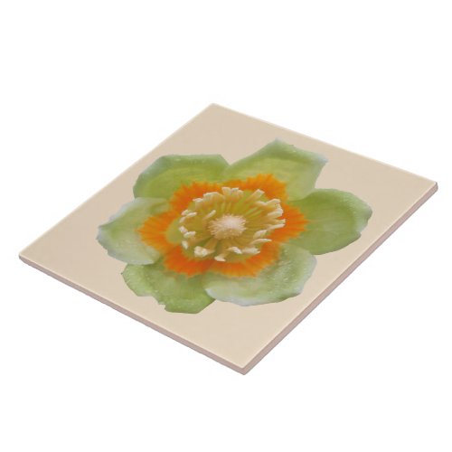 Ceramic Tile _ Tulip Poplar Tulip on Cream