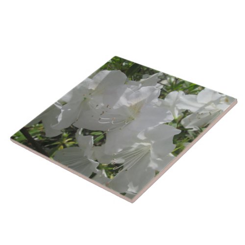 Ceramic Tile _ White Azaleas