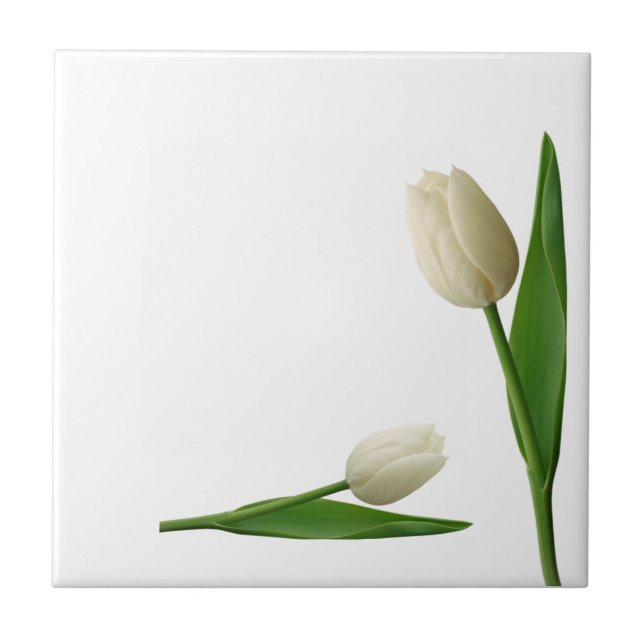 Ceramic Tile White Tulips Floral (Front)