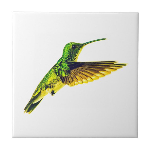 Ceramic tile with hummingbird design (Front)