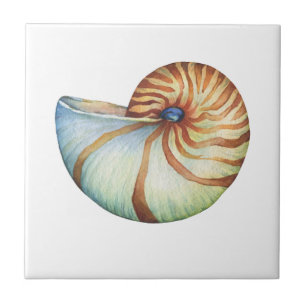 Ceramic Tiles - Small 4.25" x 4.25" Sea Shell