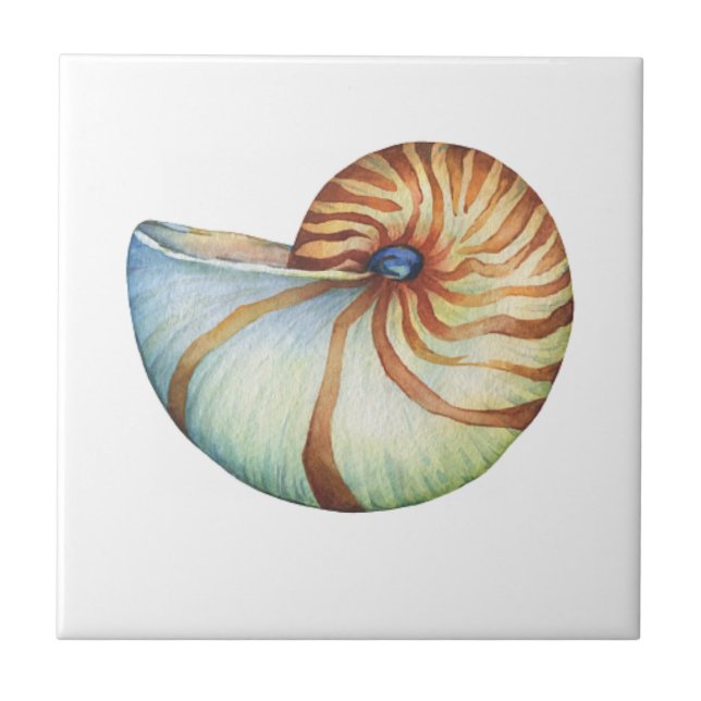 Ceramic Tiles - Small 4.25" x 4.25" Sea Shell (Front)