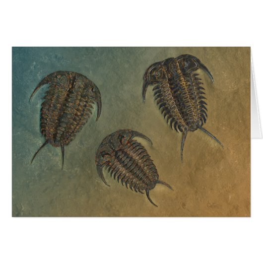 Ceraurus  and Leviceraurus Cards (Front Horizontal)