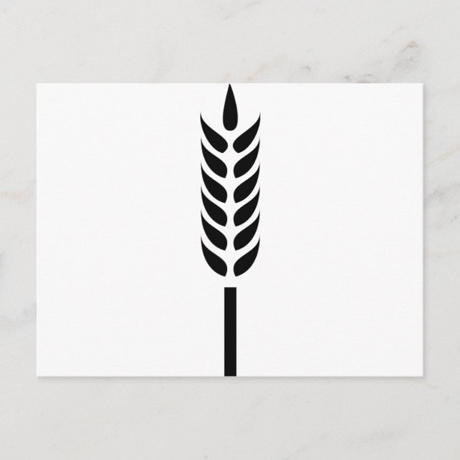cereal wheat spike postcard (Front)
