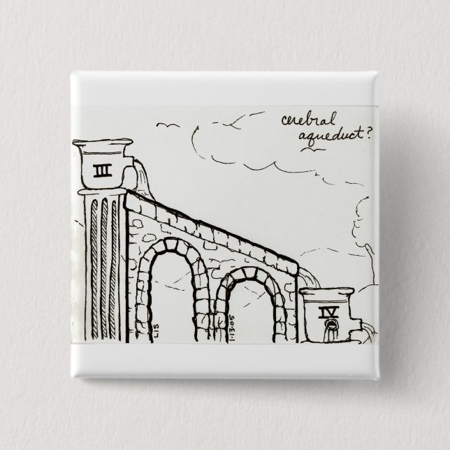 Cerebral Aqueduct button (Front)