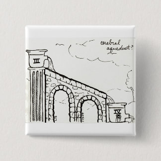 Cerebral Aqueduct button