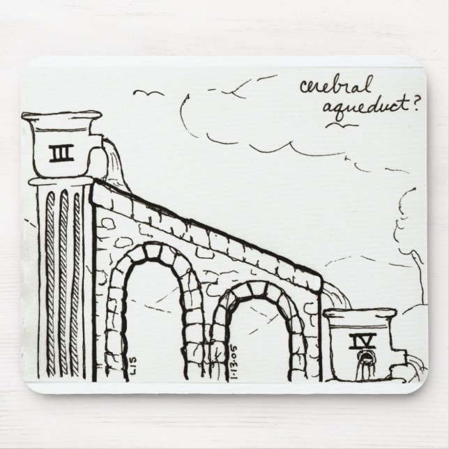 Cerebral Aqueduct mousepad (Front)