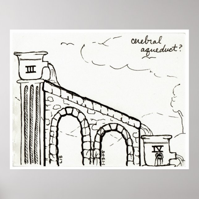 Cerebral Aqueduct print (Front)