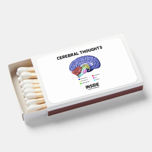 Cerebral Thoughts Inside Thoughtful Brain Humor Matchboxes