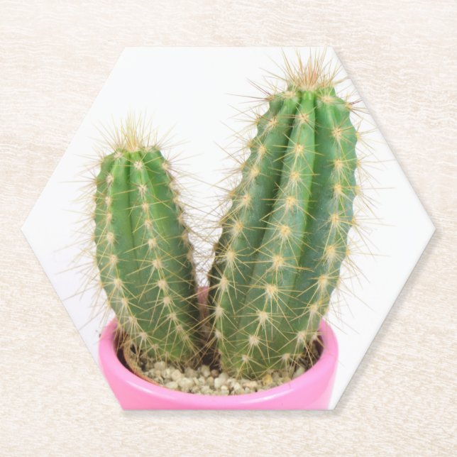 Cereus cactus paper coaster (Front)