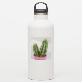 Cereus cactus sticker