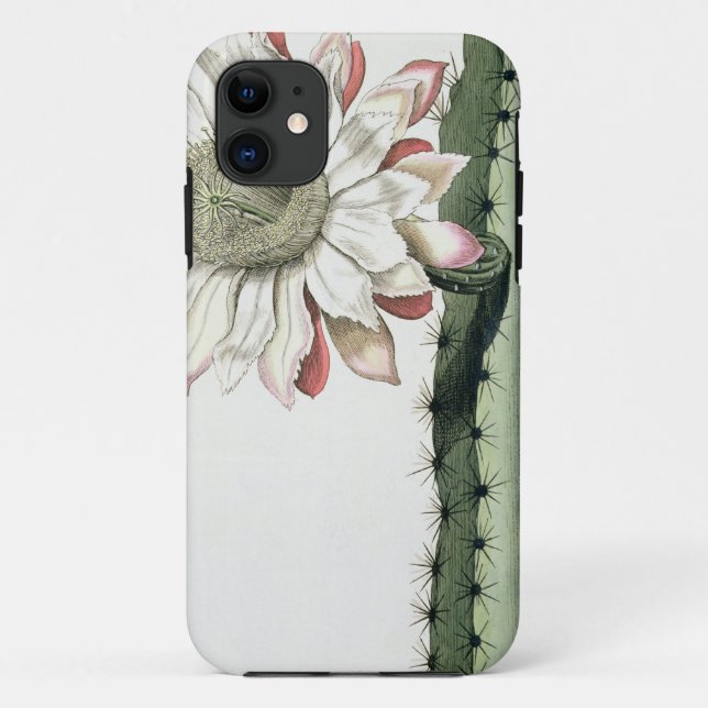 Cereus Erectus Altissimus Syrinamensis from 'Phyth Case-Mate iPhone Case (Back)