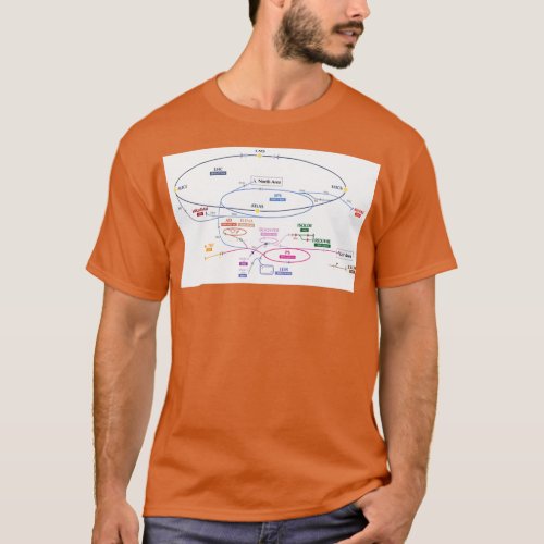 Cern Complex 1 T_Shirt