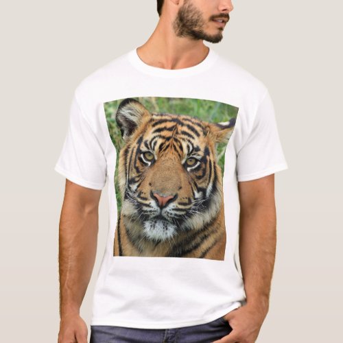 Certainly For an online shop selling T_shirts a  T_Shirt