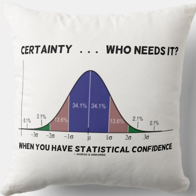 Certainty ... Who Needs It? When You Have Stats Throw Pillow (Throw pillow for any statistically confident person who's comfortable in our probabilistic world)