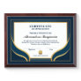Certificate Of Achievement Excellence Professional Award Plaque