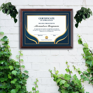 Certificate Of Achievement Excellence Professional Award Plaque