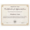 Certificate of Appreciation Customizable Award