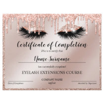 Certificate of Completion Award lashes Course Certificate of Completion Award lashes Course