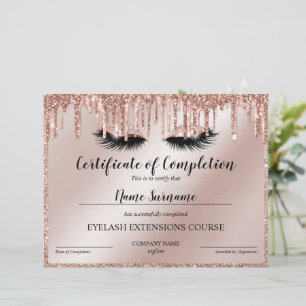 Certificate of Completion Award lashes Course