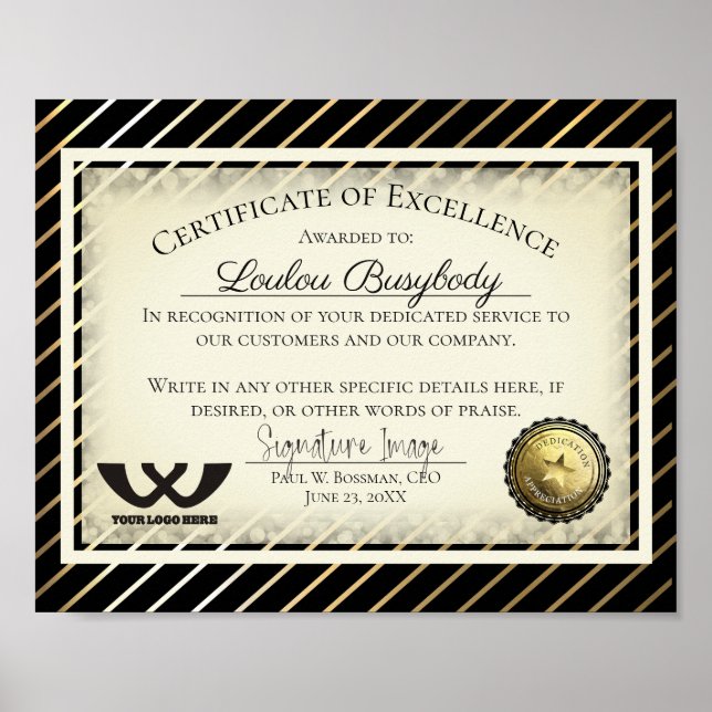 Certificate of excellence employee volunteer award poster (Front)