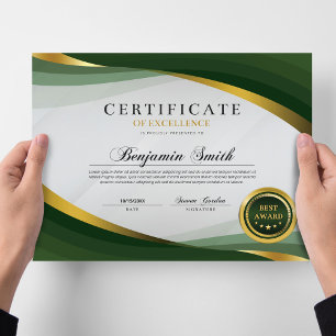 Certificate of Excellence Green & Gold Award