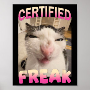 Certified Freak Cat Meme Offensive Memes Funny Cat Poster