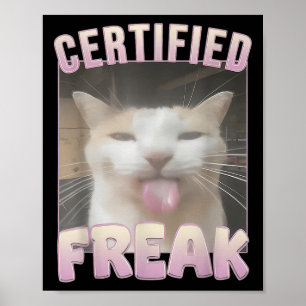 Certified Freak Cat Meme Offensive Memes Funny Cat Poster