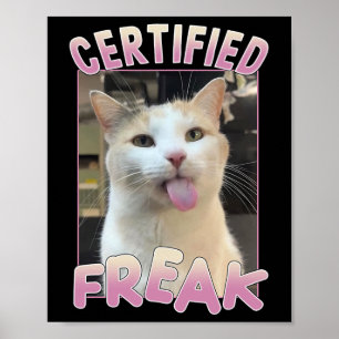 Certified Freak Cute Cat Meme Lovers Funny Animals Poster