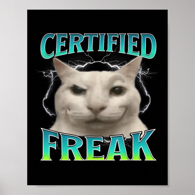 Certified Freak Funny Cat Meme Cursed Silly Starin Poster (Front)