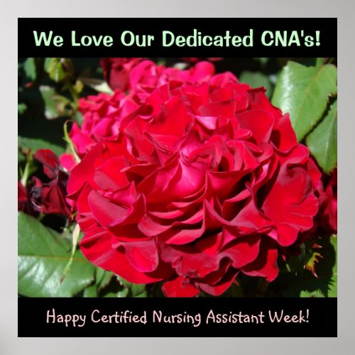 Certified Nursing Assistants Week art prints CNAs