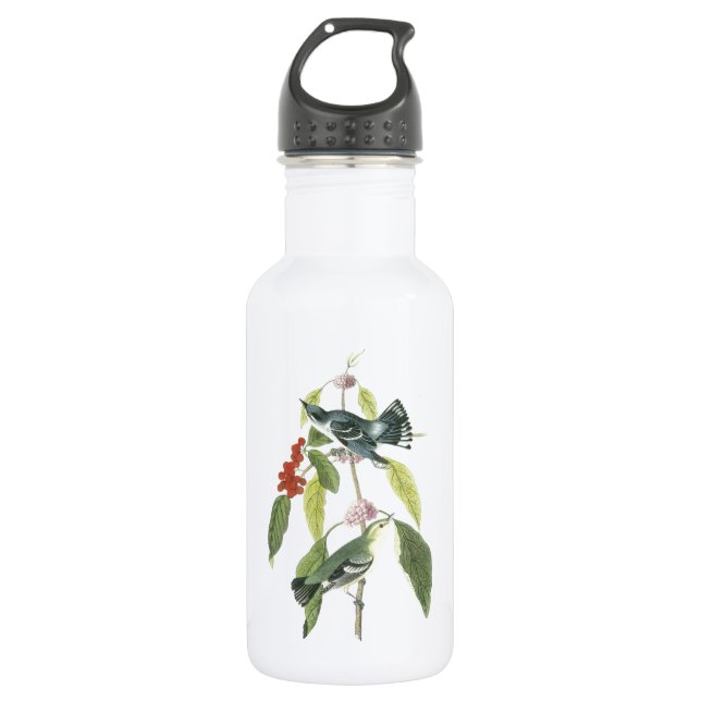 Cerulean Warbler by Audubon Water Bottle (Front)