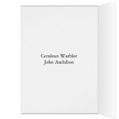 Cerulean Warbler, John Audubon Cards (Inside (Left))
