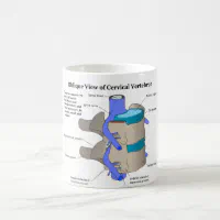 https://rlv.zcache.com/cervical_vertebra_of_the_human_spinal_column_coffee_mug-r3b67b04261ad4f7a811541f1748361ba_x7jg5_8byvr_200.webp