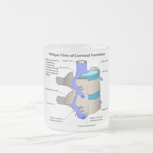 Cervical Vertebra of the Human Spinal Column Frosted Glass Coffee Mug