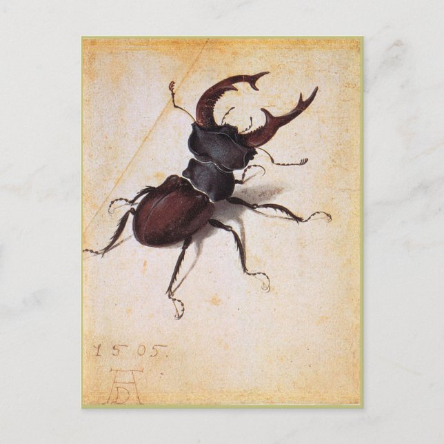 Cervus Lucanus by Albrecht Durer Postcard (Front)