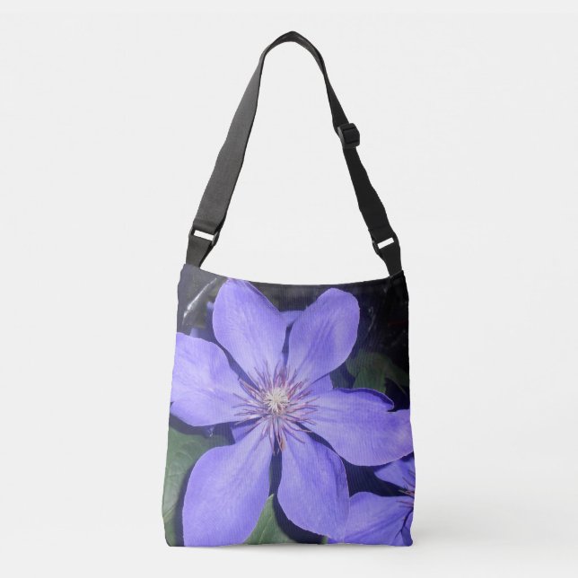 Cesarine Crossbody Bag (Front)