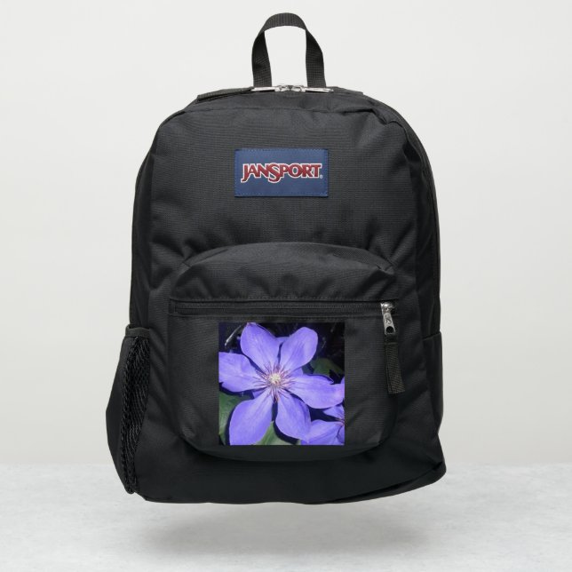 cesarine JanSport backpack (Front)