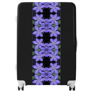 Cesarine Luggage