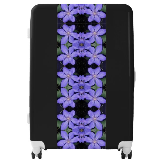 Cesarine Luggage (Front)