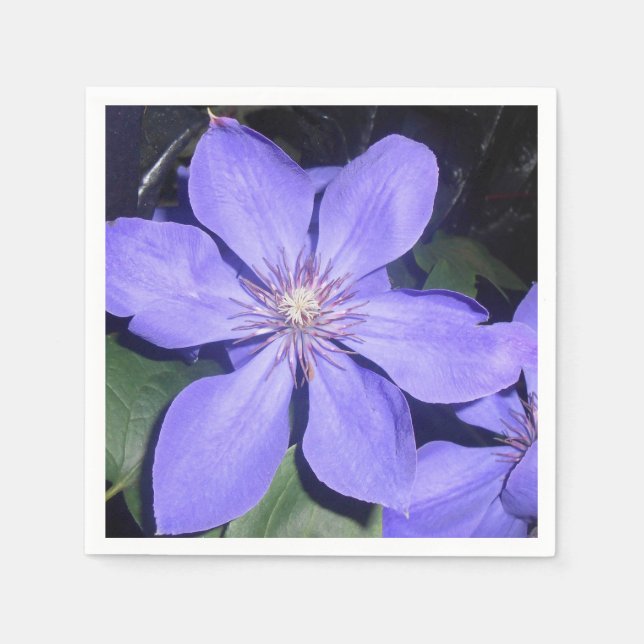 Césarine Napkins (Front)