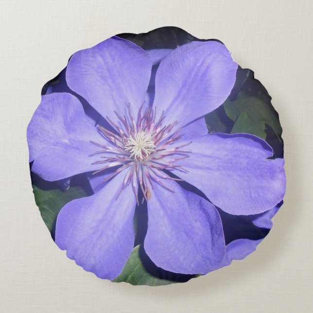 Césarine Round Pillow (Back)